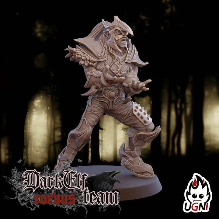 Linemen #2 - Dark Elves Team