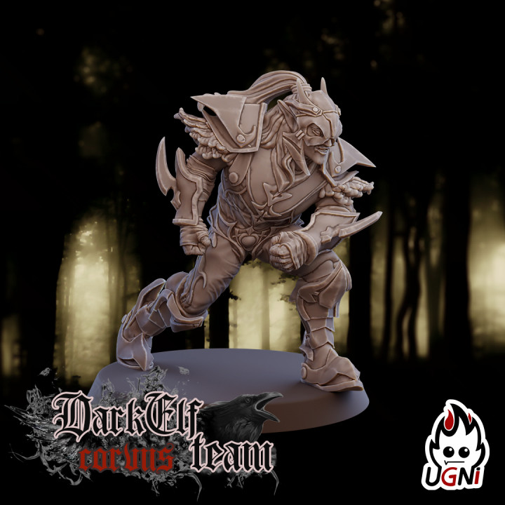 Linemen #5 - Dark Elves Team