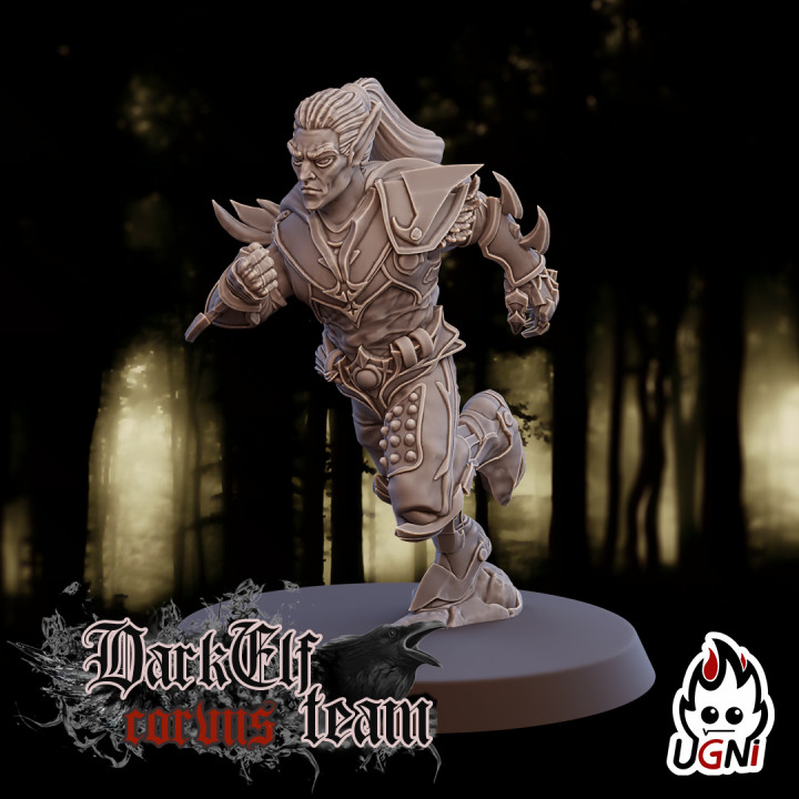 Runner #1 - Dark Elves Team