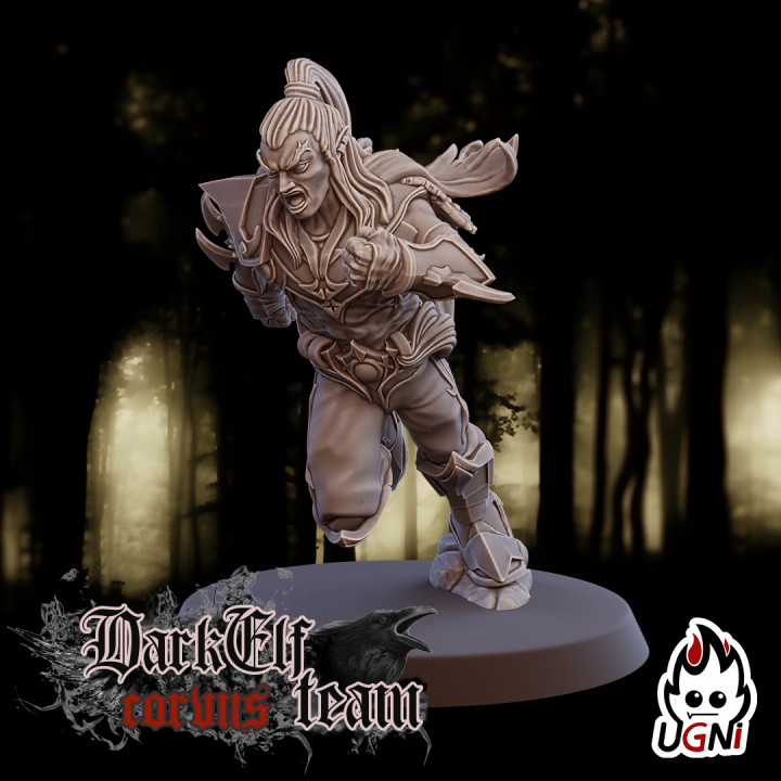 Runner #2 - Dark Elves Team