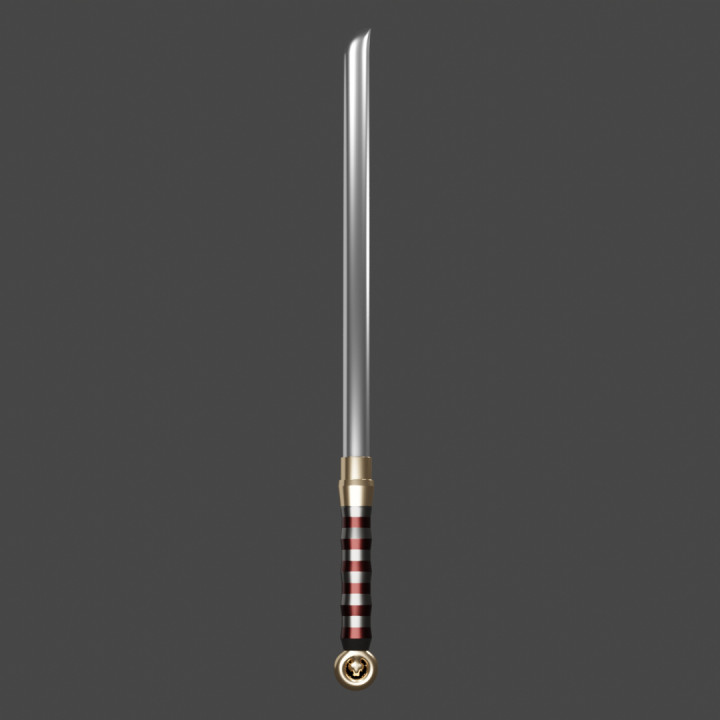 Hwandudaedo 환두대도 - Korean Ring Pommel Sword image