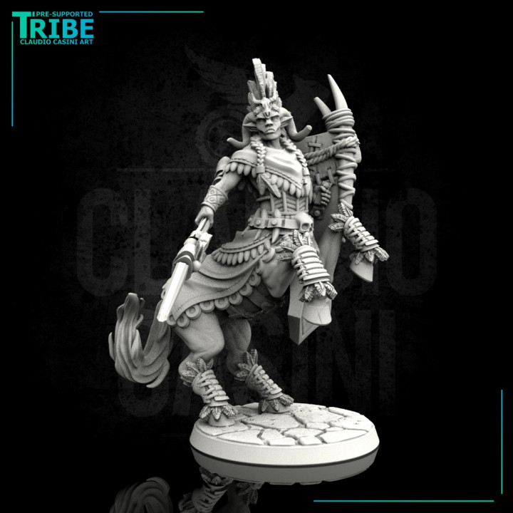 (0114) Male warrior centaur with spear and shield image
