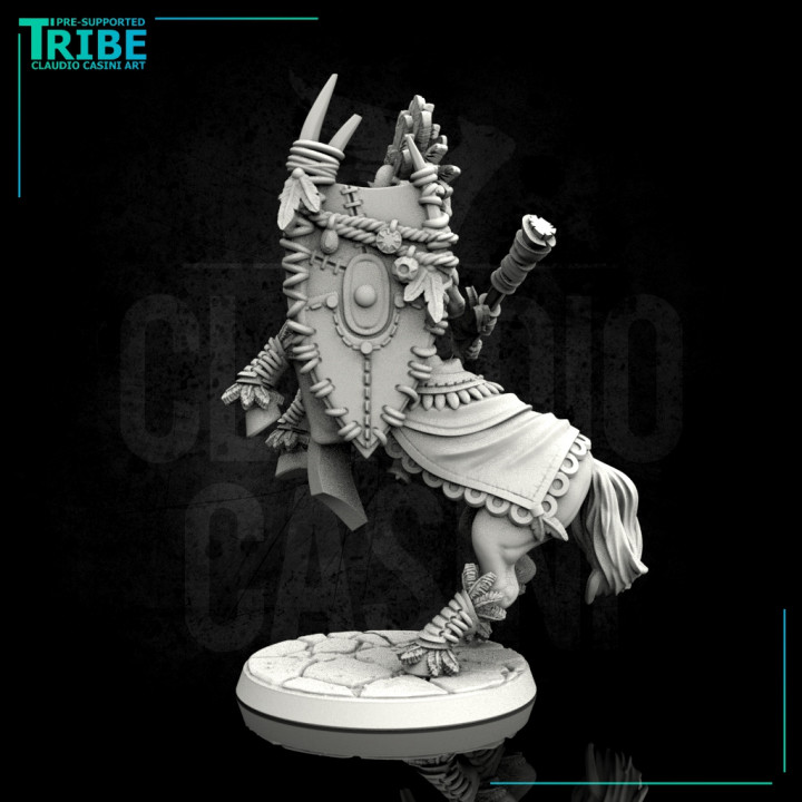 (0114) Male warrior centaur with spear and shield image