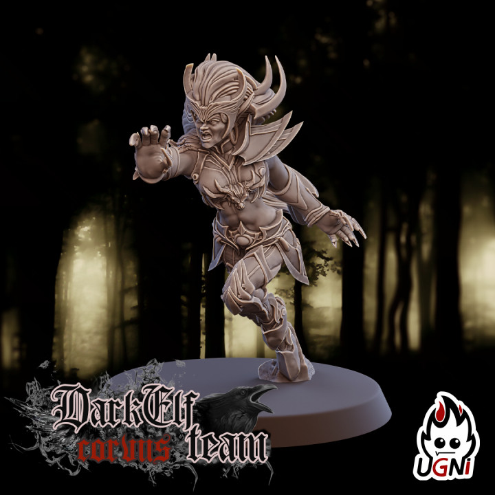 Witch #2 - Dark Elves Team