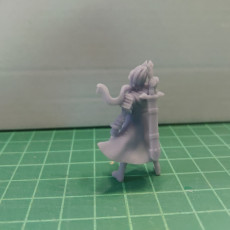 Picture of print of The Hero, Fire Quest Miniature - Pre-Supported