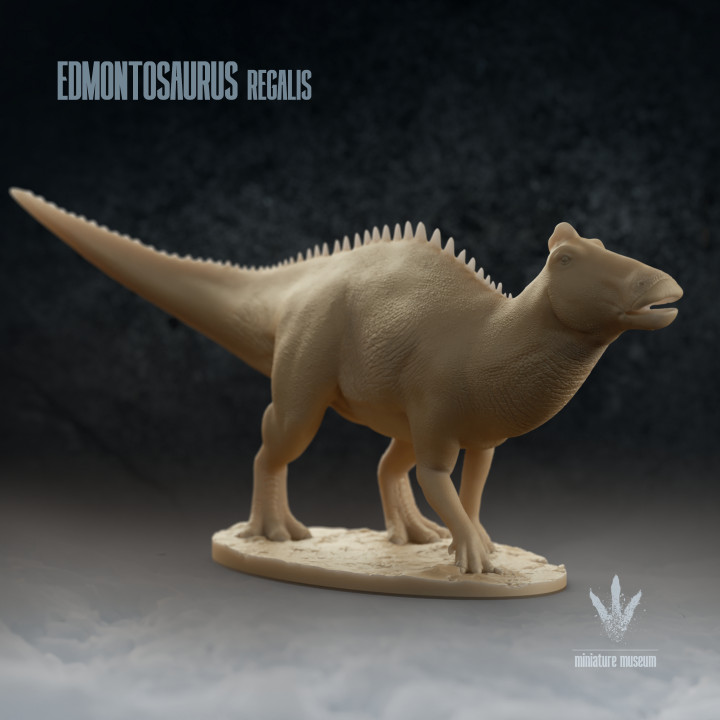 Edmontosaurus regalis : Lizard from Edmonton