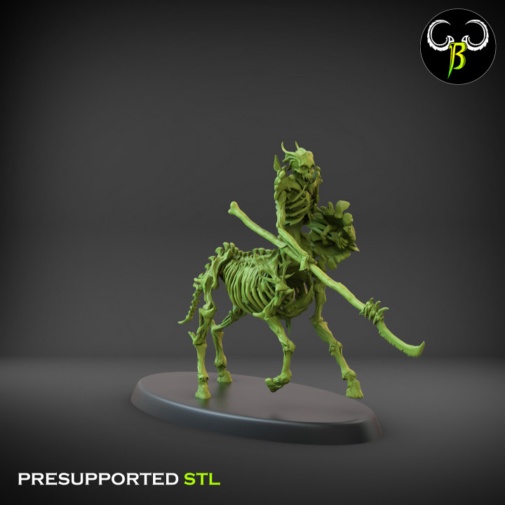 HemoCentaur SetB