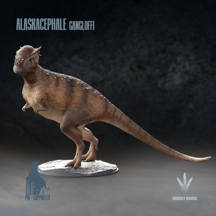 3D Printable Alaskacephale gangloffi Thick Headed Lizard from Alaska