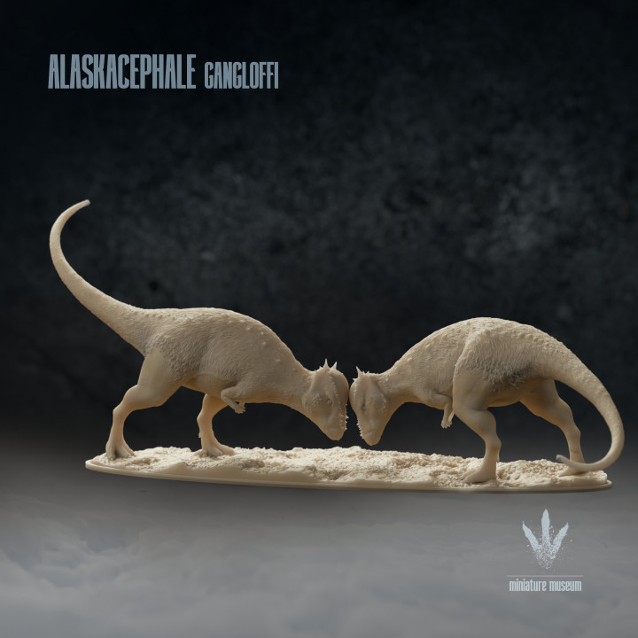 3D Printable Alaskacephale gangloffi Combat Display by Miniature Museum