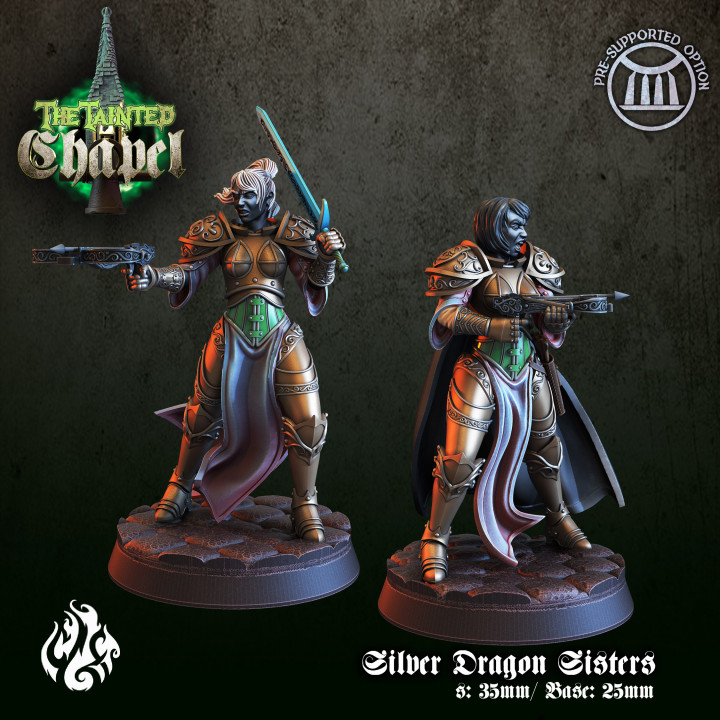 Silver Dragon Sisters image