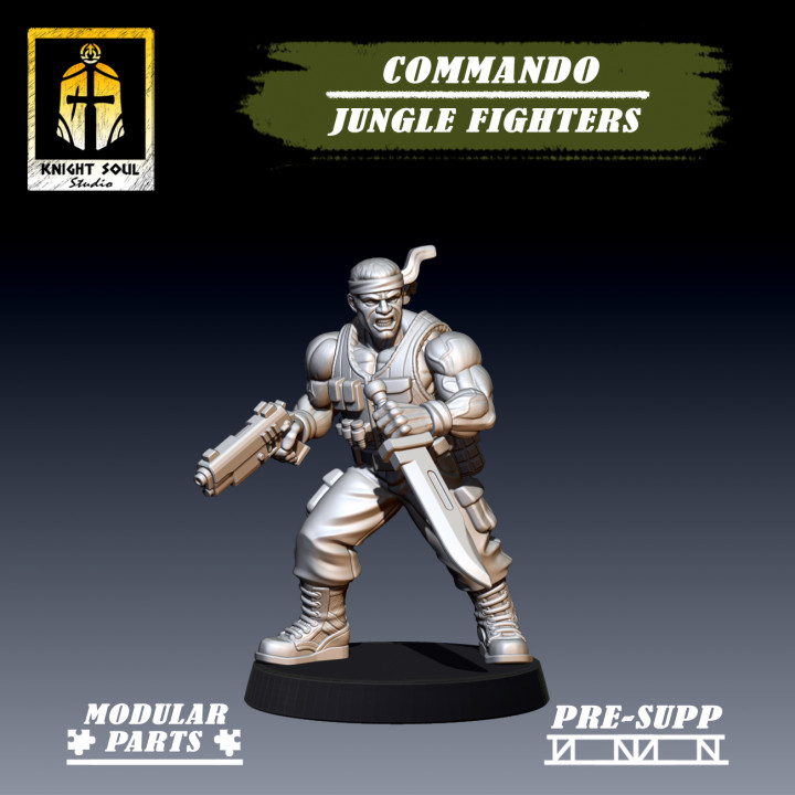 Commando: Jungle Fighters image