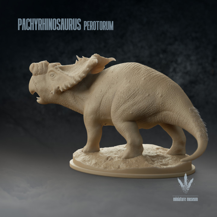 Pachyrhinosaurus perotorum: The Thick-nosed Lizard from Alaska image