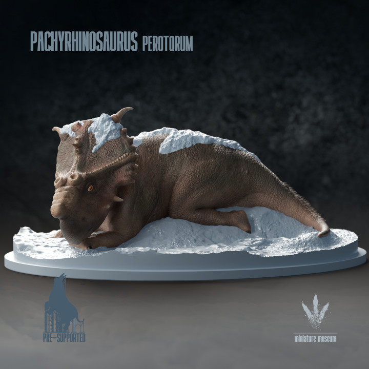 Pachyrhinosaurus perotorum: Resting on Snow image