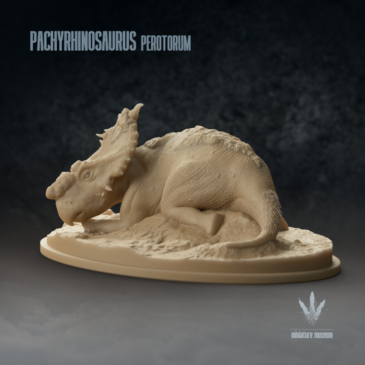 Pachyrhinosaurus perotorum: Resting on Snow image