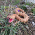 Rattlesnake, Print-In-Place Body, Snap-Fit Head, Cute Flexi print image