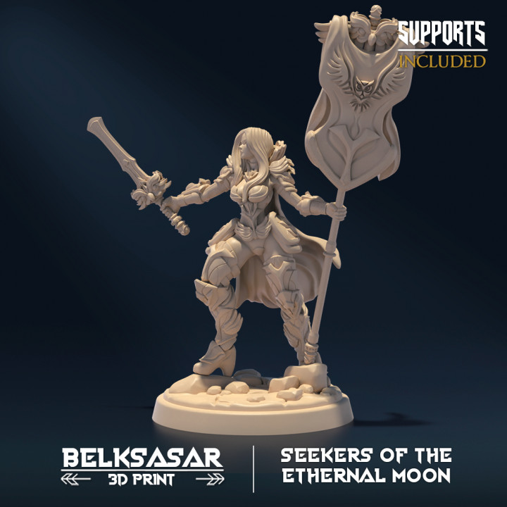 Seekers of the Ethernal Moon - Knight image