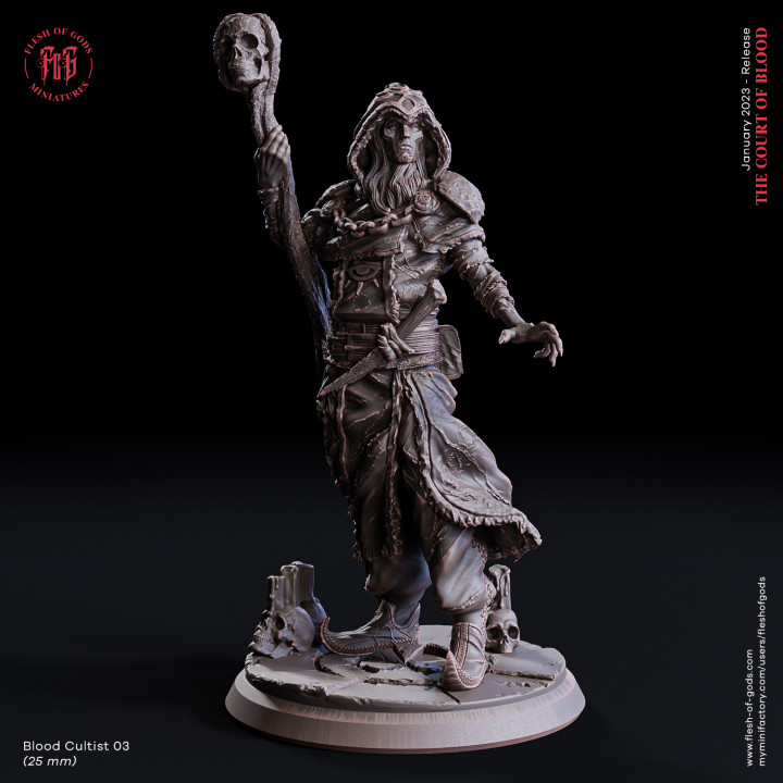 Blood Cultist 03 image