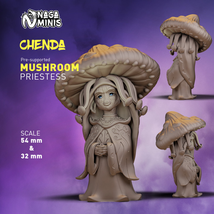 (Pre-supported) Mushroom Folk Priestess image