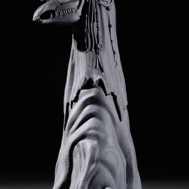Mari Lwyd (Pre- Supported) image