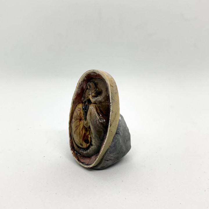Charcharadontosaurus embryo - pre-supported dino egg