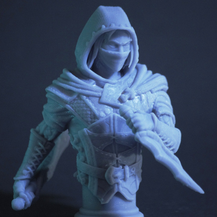 The Thief Bust image