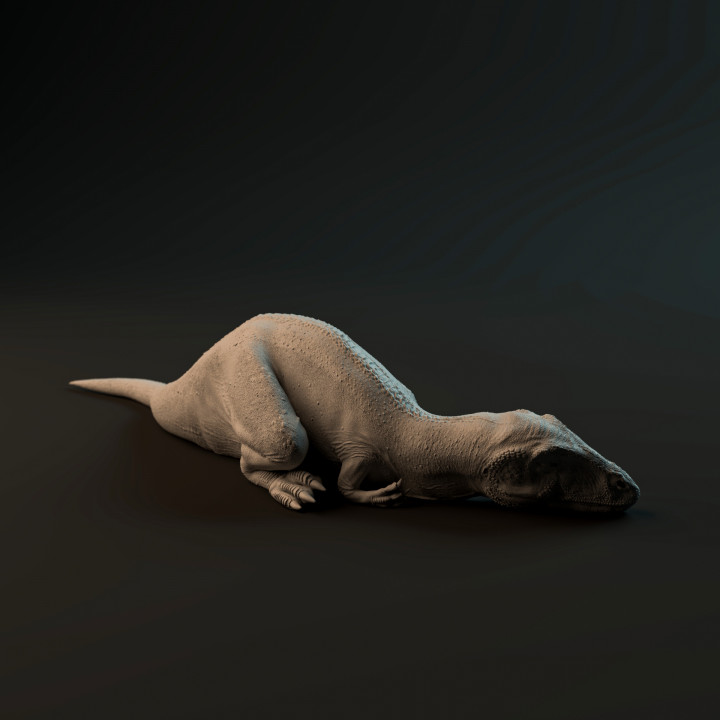 Carcharadontosaurus hatchling sleeping - pre-supported dinosaur baby image