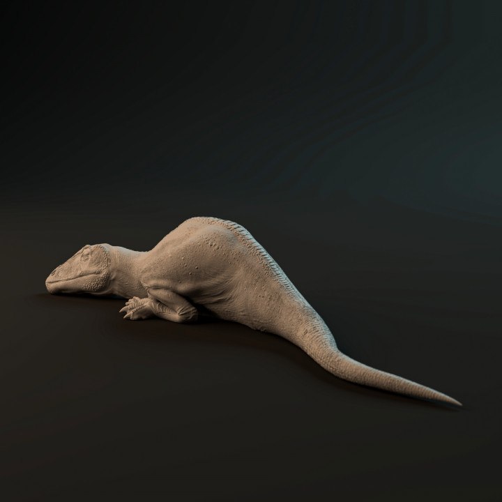 Carcharadontosaurus hatchling sleeping - pre-supported dinosaur baby image