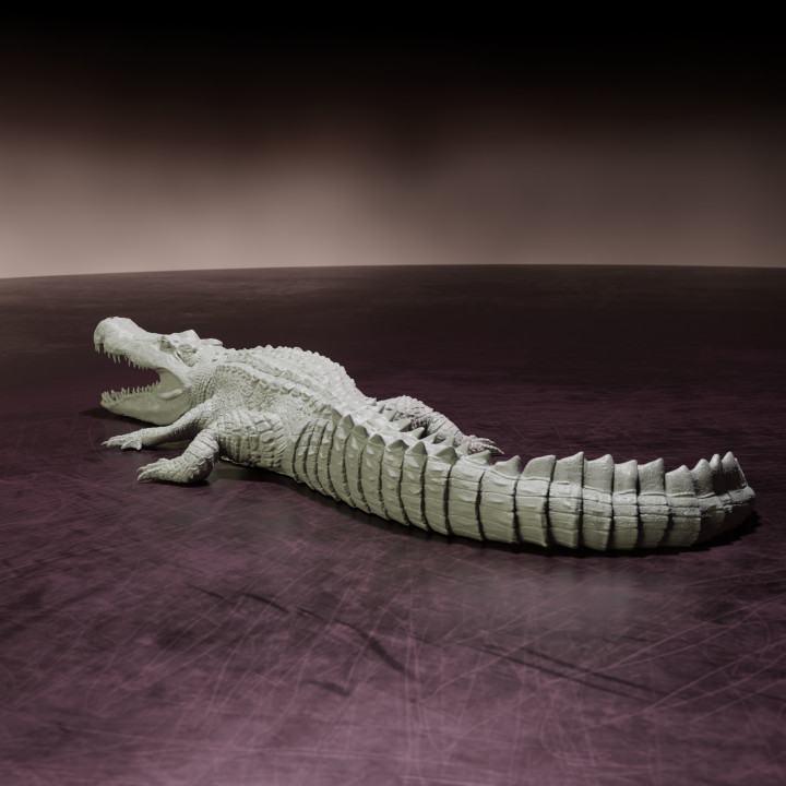 Deinosuchus resting - pre-supported prehistoric crocodile/alligator image