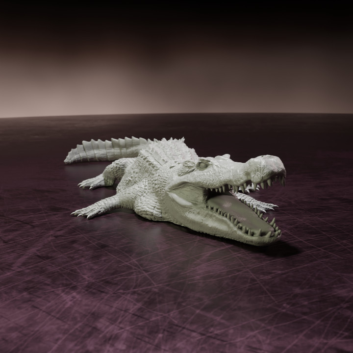 Deinosuchus resting - pre-supported prehistoric crocodile/alligator image