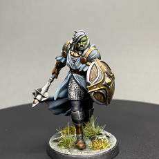 Picture of print of Denthir, the Orc Cleric