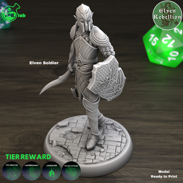 Elven Soldier (A)