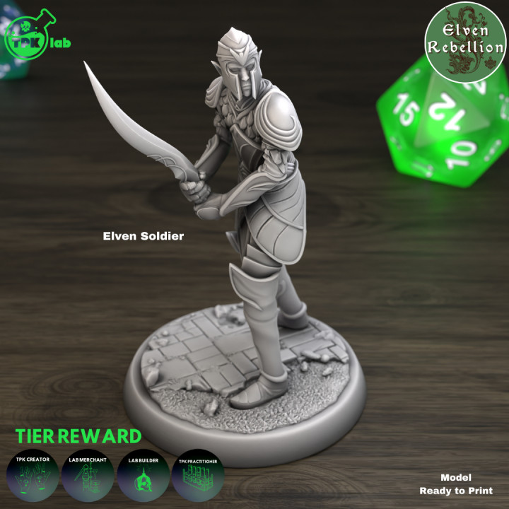 Elven Soldier (B) image