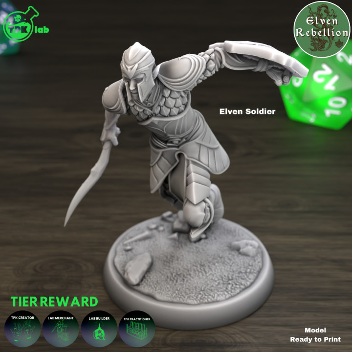 Elven Soldier (D)