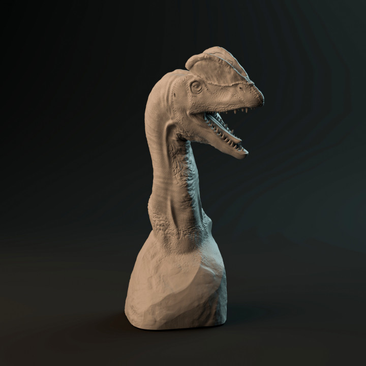 Dilophosaurus bust - pre-supported dinosaur head