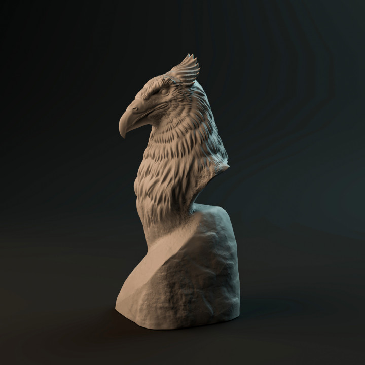 Haast Eagle bust - pre-supported prehistoric bird head