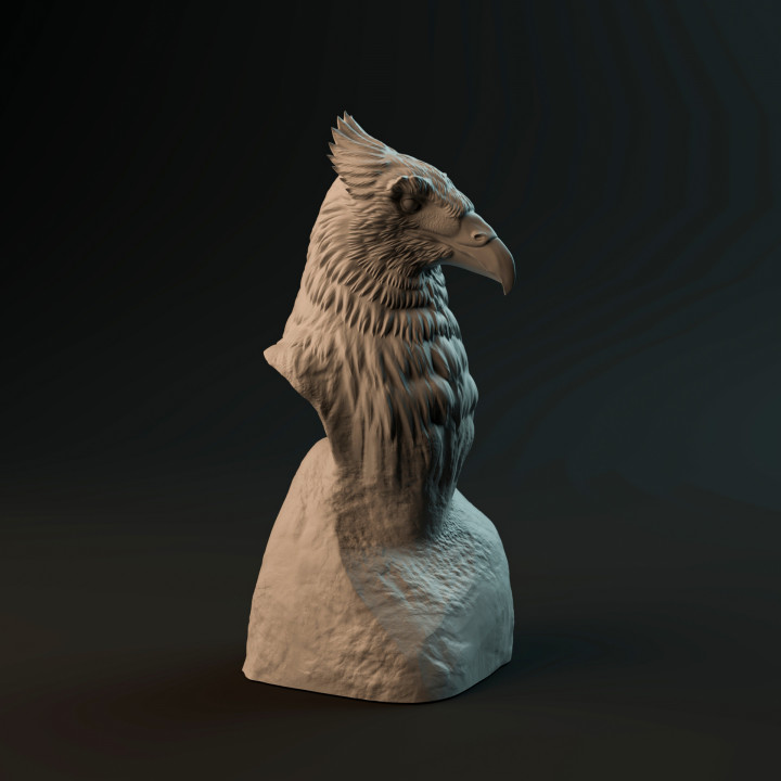Haast Eagle bust - pre-supported prehistoric bird head image