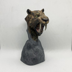 Picture of print of Smilodon populator bust - pre-supported prehistoric animal head