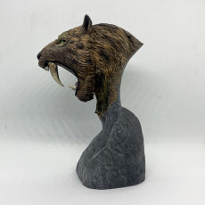 Picture of print of Smilodon populator bust - pre-supported prehistoric animal head