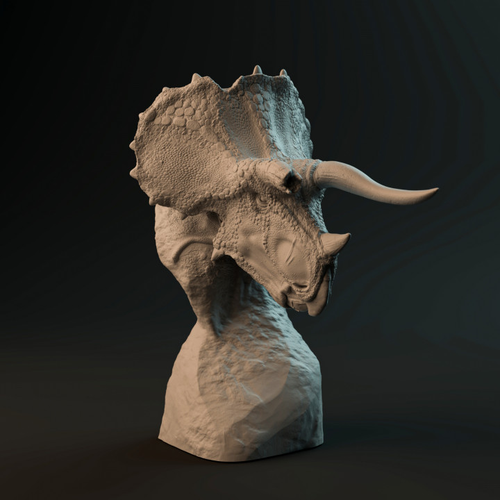 Triceratops bust - pre-supported dinosaur head image
