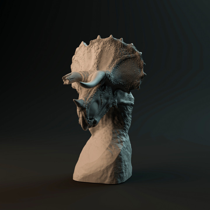 Triceratops bust - pre-supported dinosaur head