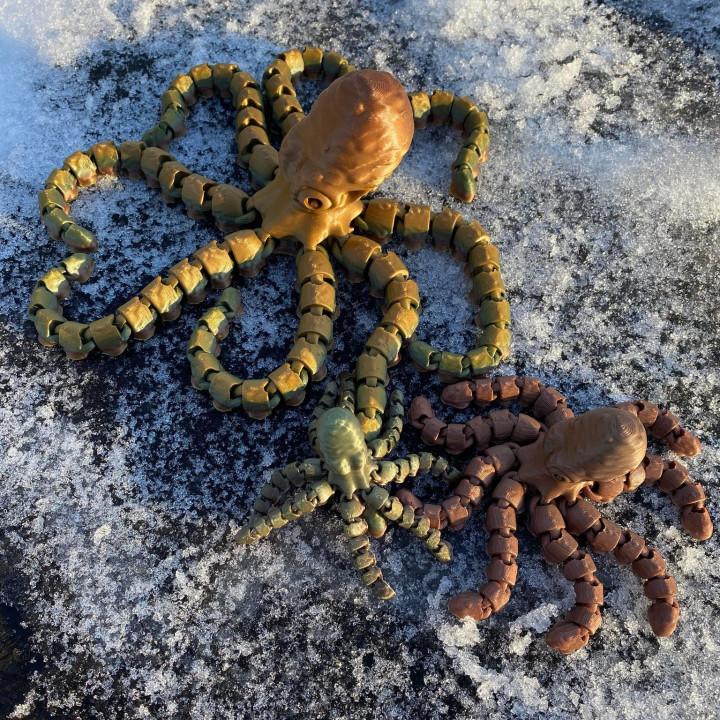 Flexy Octopus and Juvenile image