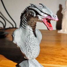 Picture of print of Syrax dragon bust fan art - pre supported - FREE model
