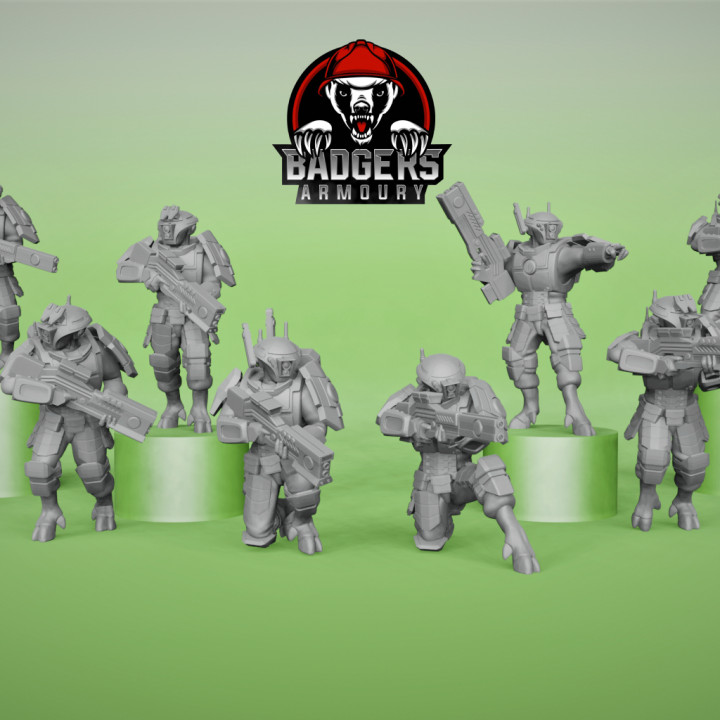 Wayfairers Confederation Assault Troopers image