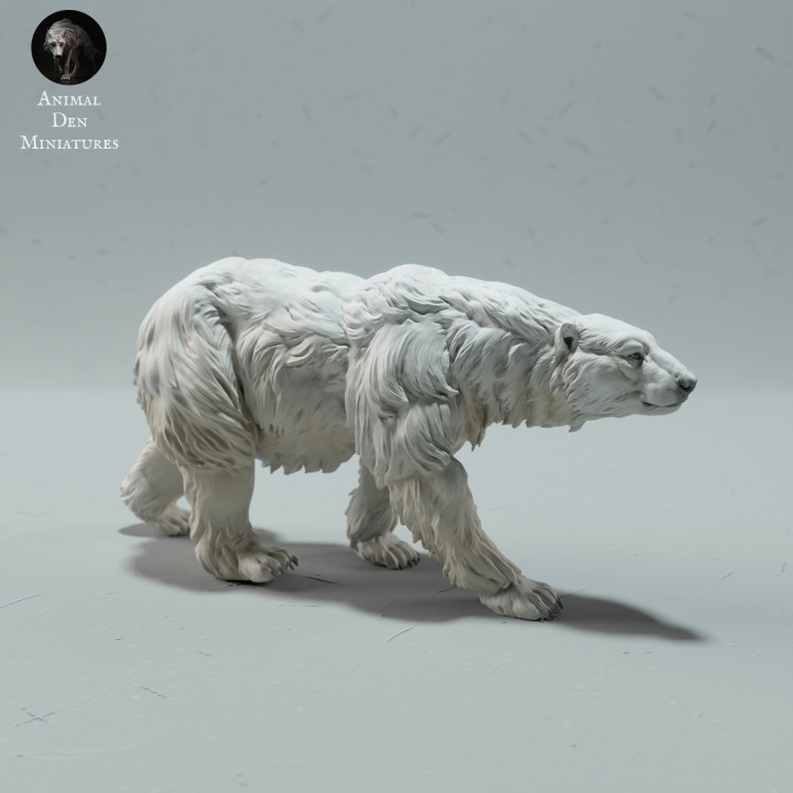 Polar Bear Walking image