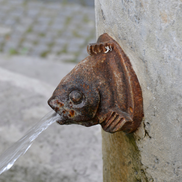 Fish from the statue of a fisherman, Nwa Sól, Poland, image