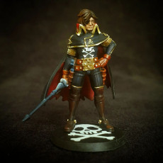 Picture of print of Space Pirate Captain Harlock 32mm