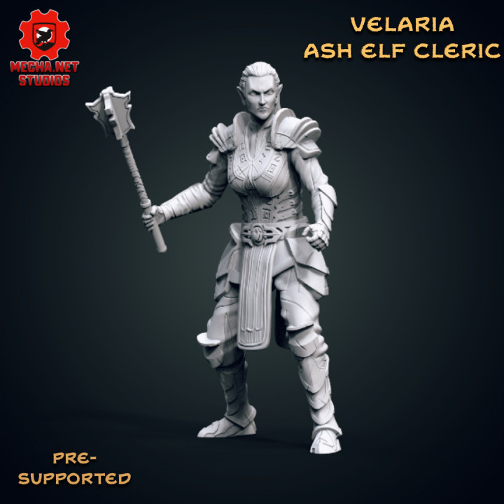 Velaria - Ash Elf Cleric image