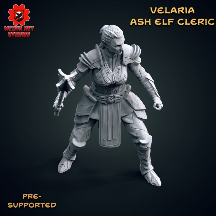 Velaria - Ash Elf Cleric image