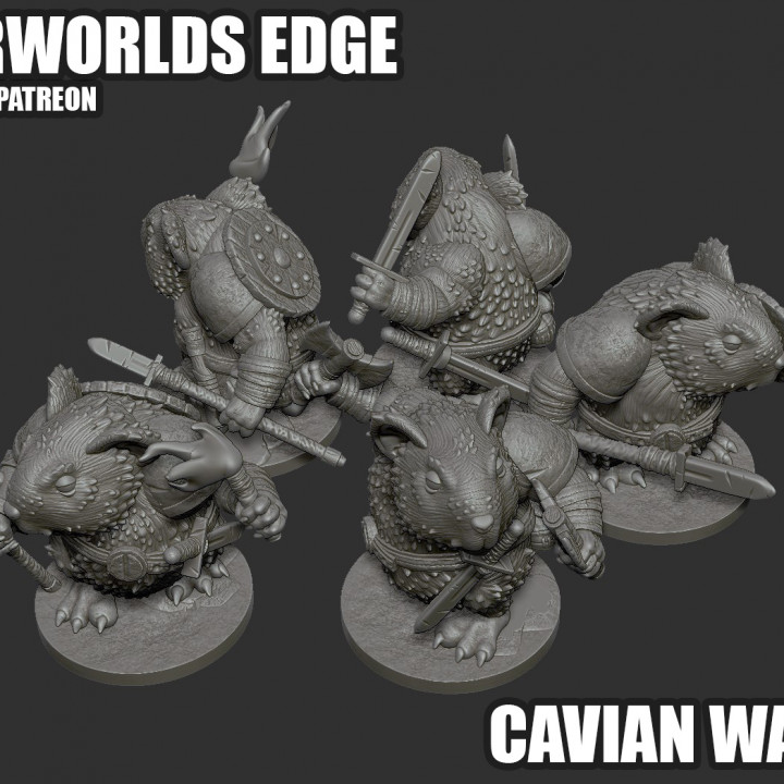 NETHERWORLDS EDGE 'Cavian Warhost' (Guinea Pigs) image