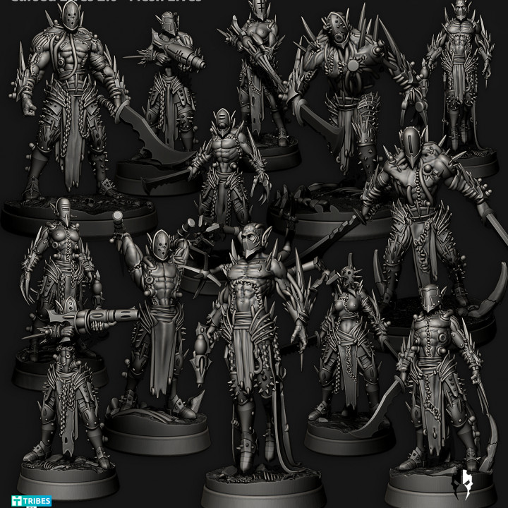 Cursed Elves 2.0 - Flesh Elves Set image